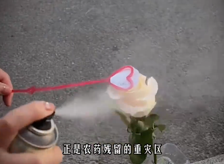 绝命毒师再现？美女路边摊卖提拉米苏毒倒百人，真相令人咋舌（组图） - 16