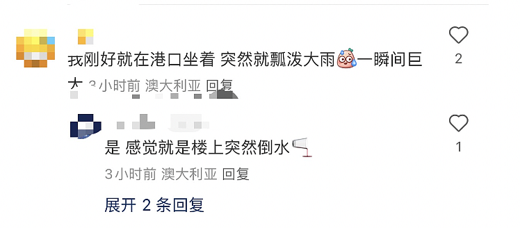 悉尼突发沙尘暴,妈妈们看见了吗?而暴雨又把悉尼交通整瘫痪了,真无语...(组图) - 8