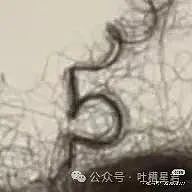 【爆笑】上移动厕所结果被货车拉到外省了…?网友:这难道就是“跨屎”吗(组图) - 27