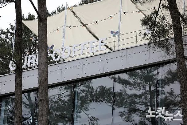 半夜在韩国首尔别乱进咖啡店,那里没准是个鸡窝(组图) - 3
