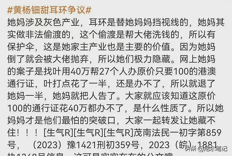 黄杨钿甜妈妈非法移民、判决书被扒！舅舅坐牢，奶奶才是最大BOSS（组图） - 12