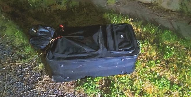 中国留学生弑母抛尸，被捕时称：只有她死了我才有自由，父亲为子求情（组图） - 3