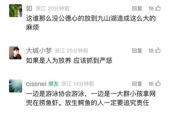 温州九山湖鳄鱼被捕获:疑似是人工饲养的,没有牙齿(组图) - 5