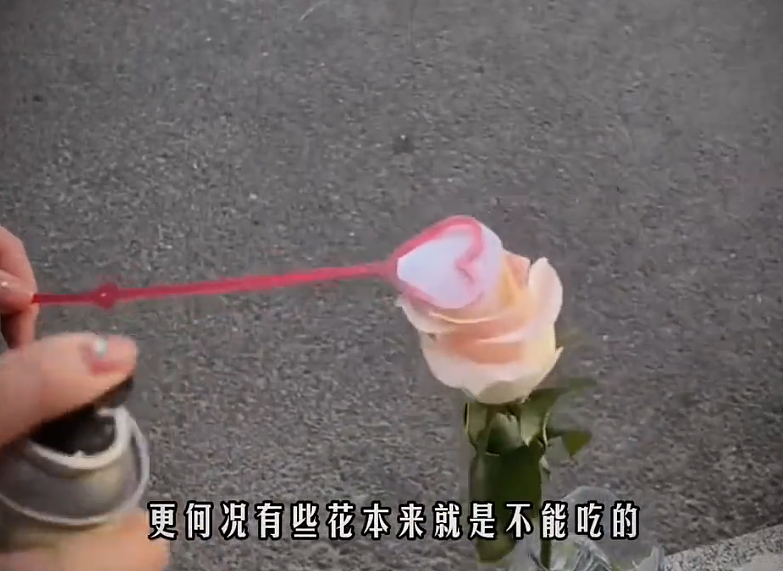 绝命毒师再现？美女路边摊卖提拉米苏毒倒百人，真相令人咋舌（组图） - 17