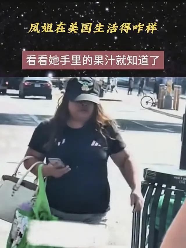凤姐在美国大烟山被偶遇,身形落寞不承认自己是凤姐,也不理会华人(组图) - 10