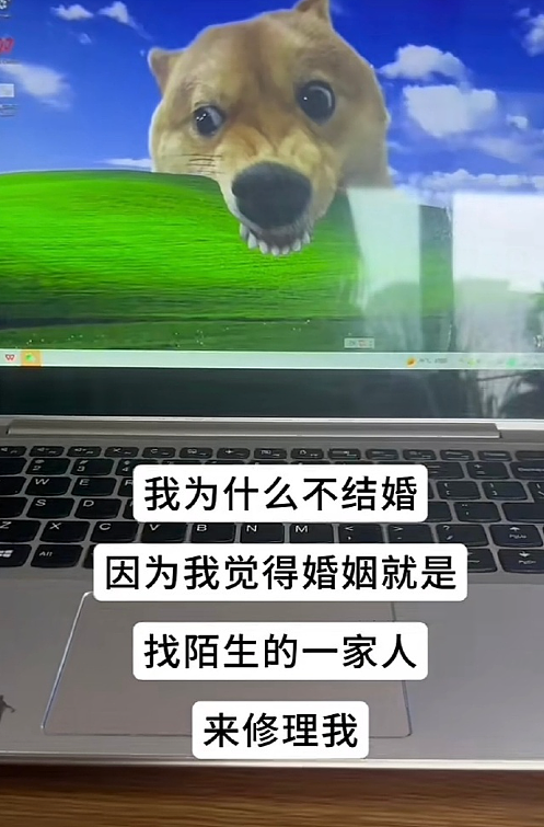 【爆笑】从“玻璃之海”到“照骗之海”?网红景点图实差距有多离谱(组图) - 17