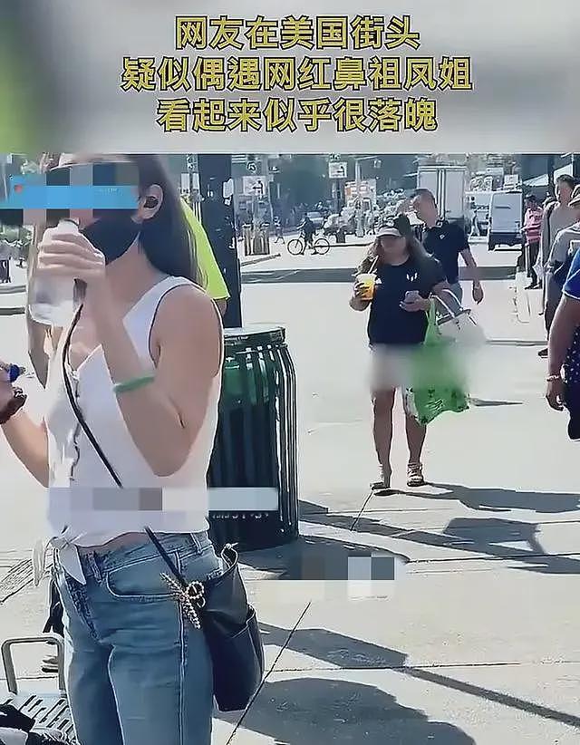 凤姐在美国大烟山被偶遇,身形落寞不承认自己是凤姐,也不理会华人(组图) - 9