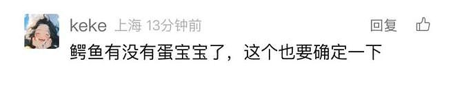 温州九山湖鳄鱼被捕获:疑似是人工饲养的,没有牙齿(组图) - 4