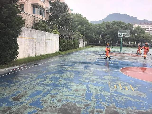 杭州多人目击：百斤重野猪闯进学校和小区！“跑飞快，随后自己游走了”（组图） - 3