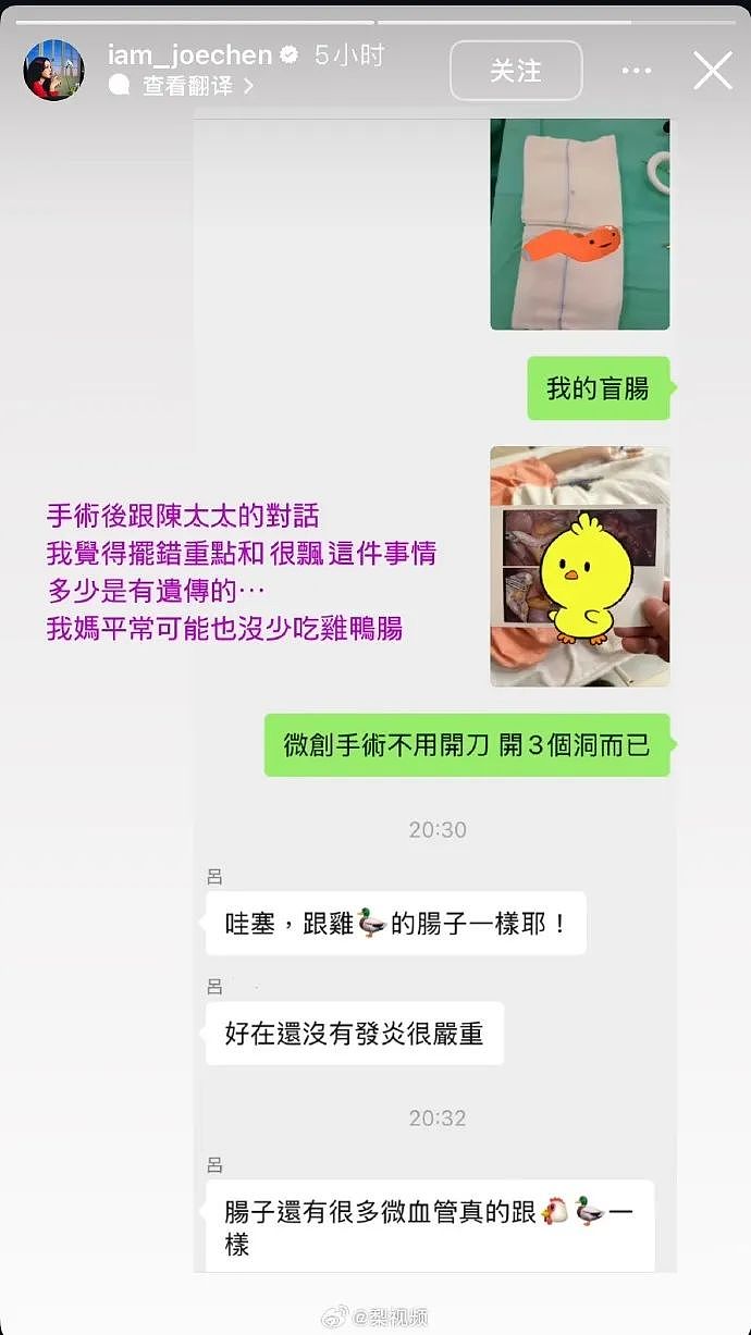 46岁陈乔恩患盲肠炎紧急手术！吴彦祖曾因此暴瘦：化脓严重，几乎丧命（组图） - 3