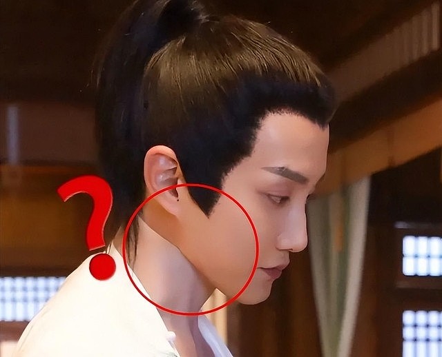 假胸、假屁股、假肌肉,半个娱乐圈从头假到脚,还有什么是真的(组图) - 21