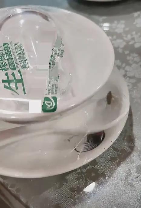 网友称未拆封一次性餐具有蟑螂乱爬,生产厂家回应(图) - 1