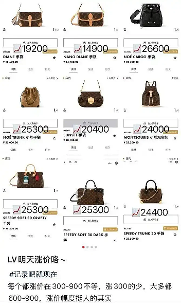 Gucci哭泣,Chanel不香!奢侈品正在被中国人抛弃(组图) - 7
