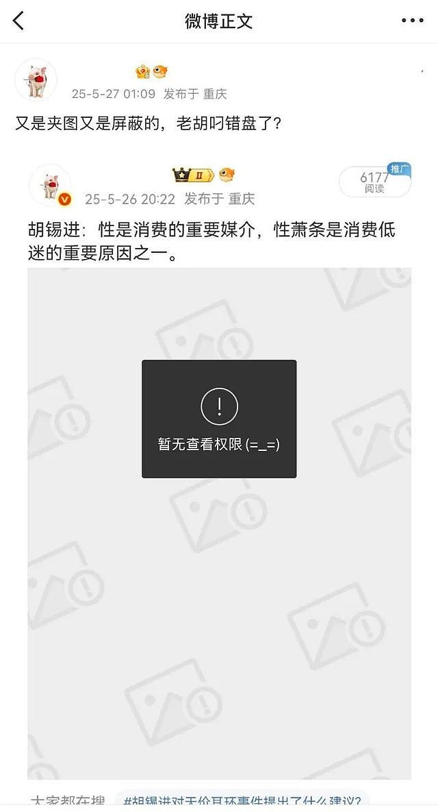 胡锡进关心“性萧条”遭删帖，媒体：是社会性阳痿（组图） - 4