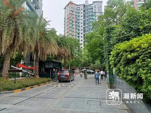 杭州多人目击：百斤重野猪闯进学校和小区！“跑飞快，随后自己游走了”（组图） - 1