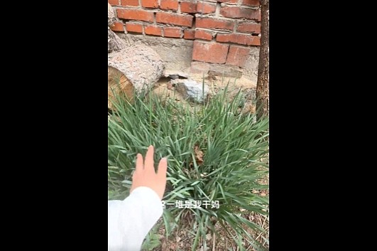 【爆笑】男朋友买了一件“三条腿”的牛仔裤,我沉默了,网友却笑了:他这么自信会很尴尬的...(组图) - 8