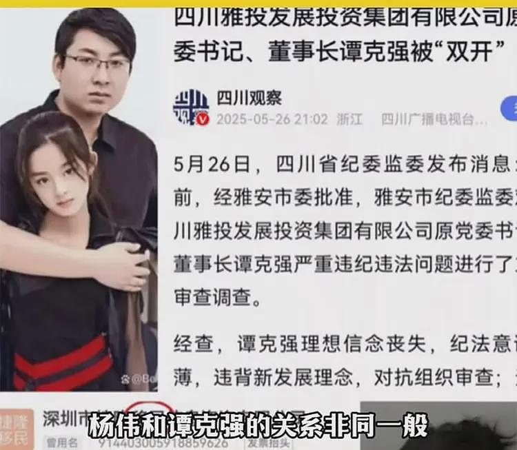 黄杨钿甜天价耳环是真的！被曝200万替换演员，其父关联人被双开（组图） - 8