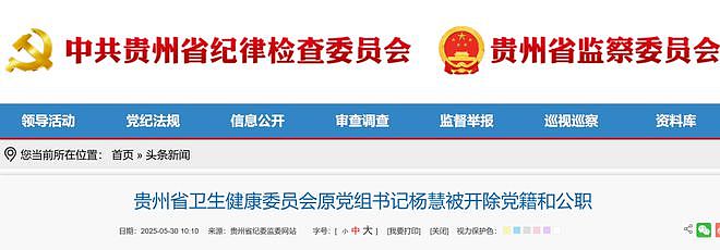 女厅官杨慧被开除党籍和公职!曾花4000万买别墅、850万装修,极尽奢华(组图) - 1