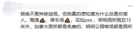 加拿大商场变“露天”厕所：印度男子当众解裤狂喷，华人特斯拉车主曝光全程（组图） - 12