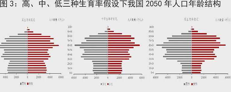 中国生育率:我们的总抚养比已经达到47%(组图) - 7