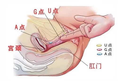 【两性】原来女生这种姿势最容易高潮（组图） - 1