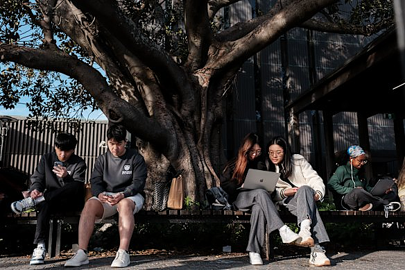 墨尔本市长亲自撰文:澳洲别蠢了!墨尔本欢迎留学生!(组图) - 2
