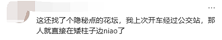 加拿大商场变“露天”厕所：印度男子当众解裤狂喷，华人特斯拉车主曝光全程（组图） - 10