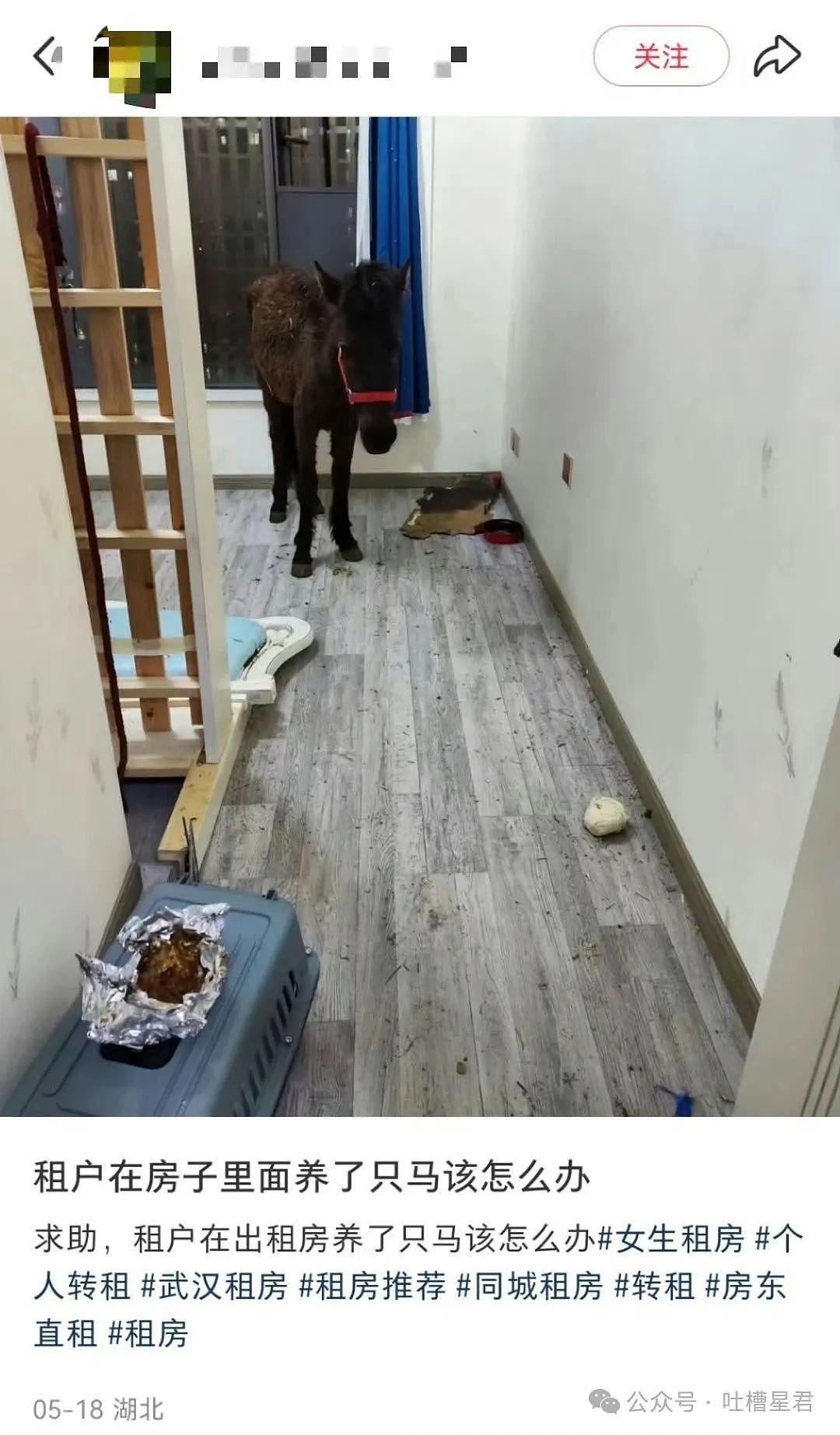 【爆笑】误用了男朋友的亲属卡后他给关上了？网友：薛宝钏都没你会挖野菜（组图） - 51