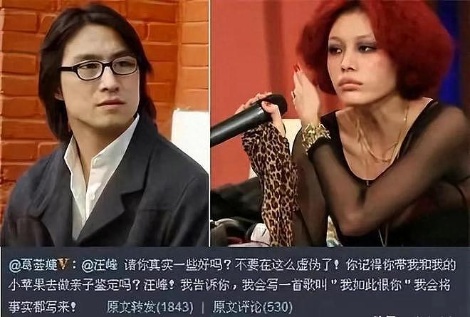 太牛了！53岁汪峰再当爸？5个孩子4个妈，还有没名分抱憾自杀的她（组图） - 10