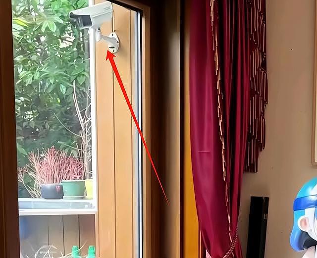 汪涵豪宅细节曝光，监控密布，门口立菩萨石像，墙上挂画尽显品味（组图） - 9