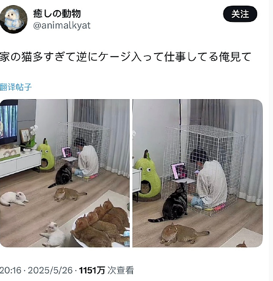 【爆笑】男朋友和女生朋友单独出去看电影?网友无语:不分!有你哭的(组图) - 24