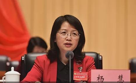 女厅官杨慧被开除党籍和公职!曾花4000万买别墅、850万装修,极尽奢华(组图) - 2