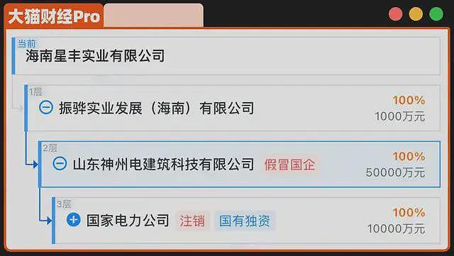 “芯片大王”太子爷，卷款20亿润了......（组图） - 3