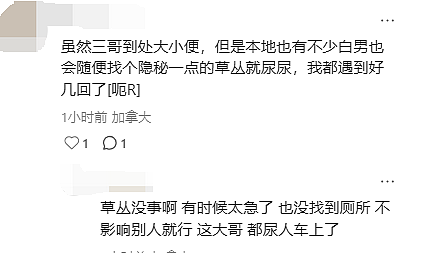 加拿大商场变“露天”厕所：印度男子当众解裤狂喷，华人特斯拉车主曝光全程（组图） - 11