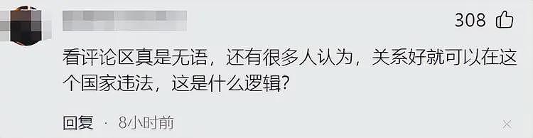 5名中国公民在塞尔维亚被抓！原因很雷人，网友：国外可没人惯你（组图） - 3