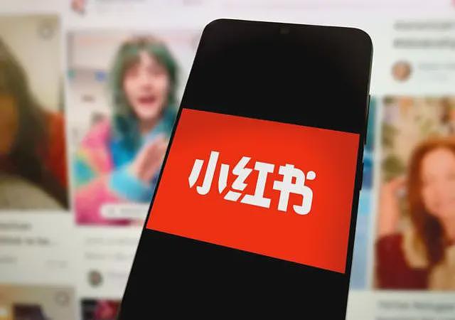 外媒：大陆学者称“小红书治理台湾”引热议，台湾年轻人会被“统战”吗（组图） - 1