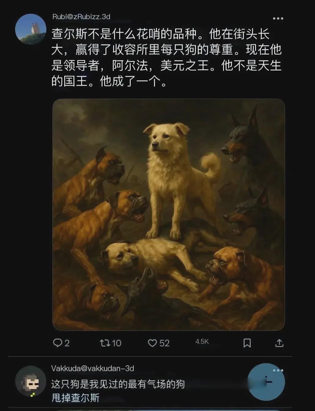 “中国狗王”火遍全球，身价飙升至10万美元，狗主人现身（组图） - 6