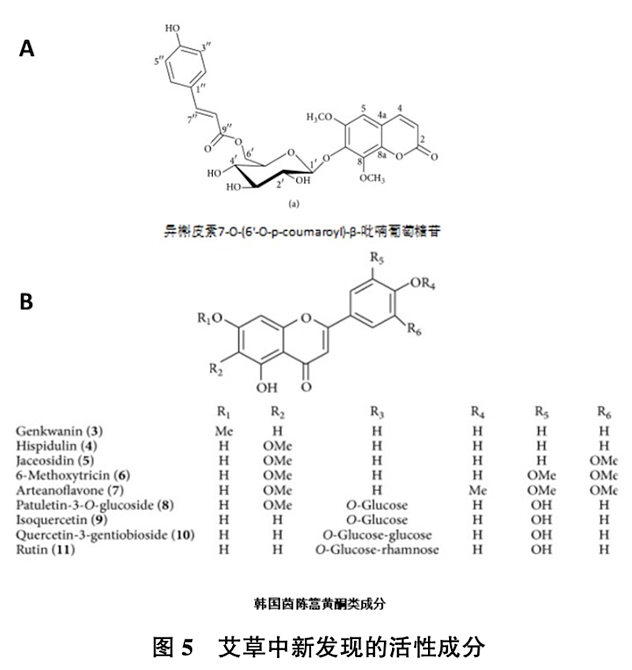 29块9的“情绪用品”，成了端午标配？（组图） - 21