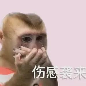 “在澳洲揍过teenagera 、你在南韩谈爱豆、他在日本叫外围”｜留子坦白局来不来？（组图） - 7