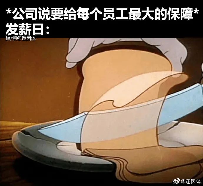 【爆笑】“网友手机里最羞耻的秘密居然是....”哈哈哈哈看完自己的笑出声（组图） - 25