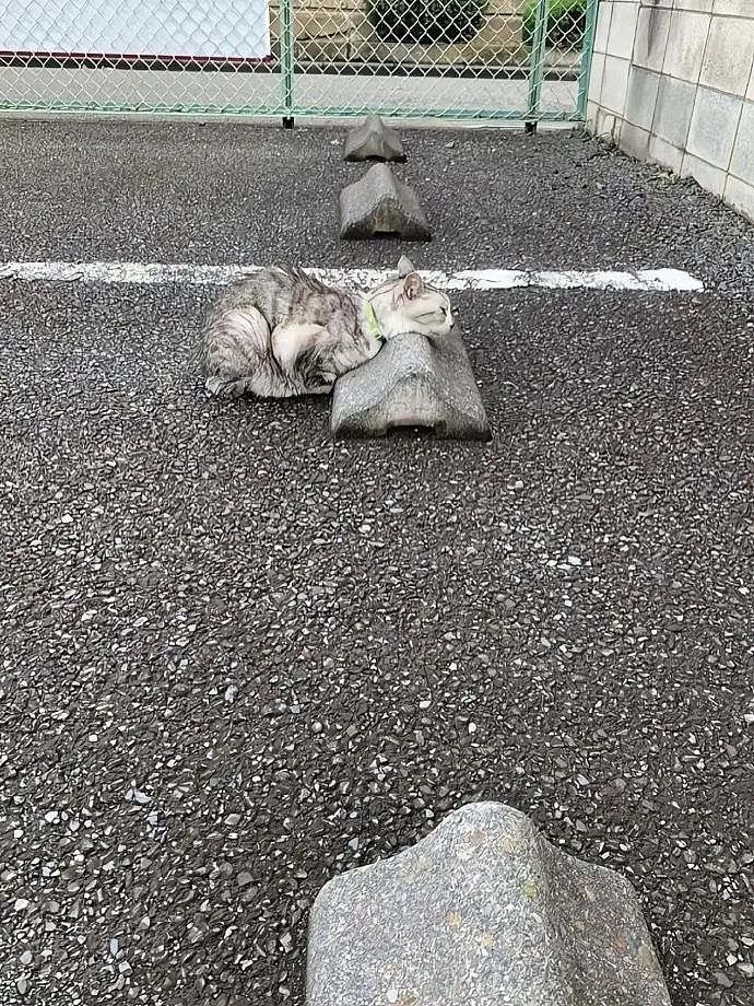 【爆笑】“千万！不要！随便让AI帮你P图啊！”哈哈哈哈真没时间陪你闹了（组图） - 65