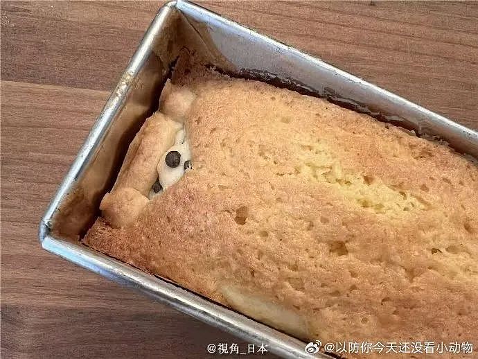 【爆笑】“千万！不要！随便让AI帮你P图啊！”哈哈哈哈真没时间陪你闹了（组图） - 87