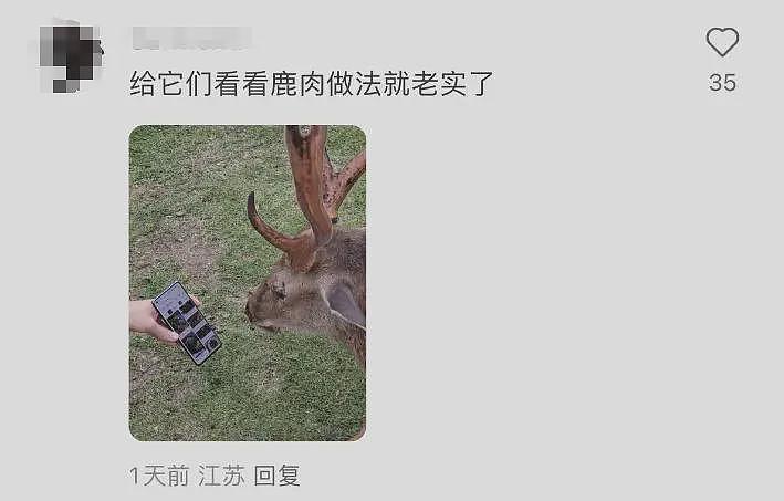 日本奈良小鹿当街抢中国游客包,飞脚踹人后携包狂奔!当事人:钱包和护照都丢了(视频/组图) - 3