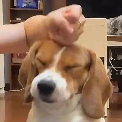 【爆笑】“千万！不要！随便让AI帮你P图啊！”哈哈哈哈真没时间陪你闹了（组图） - 2
