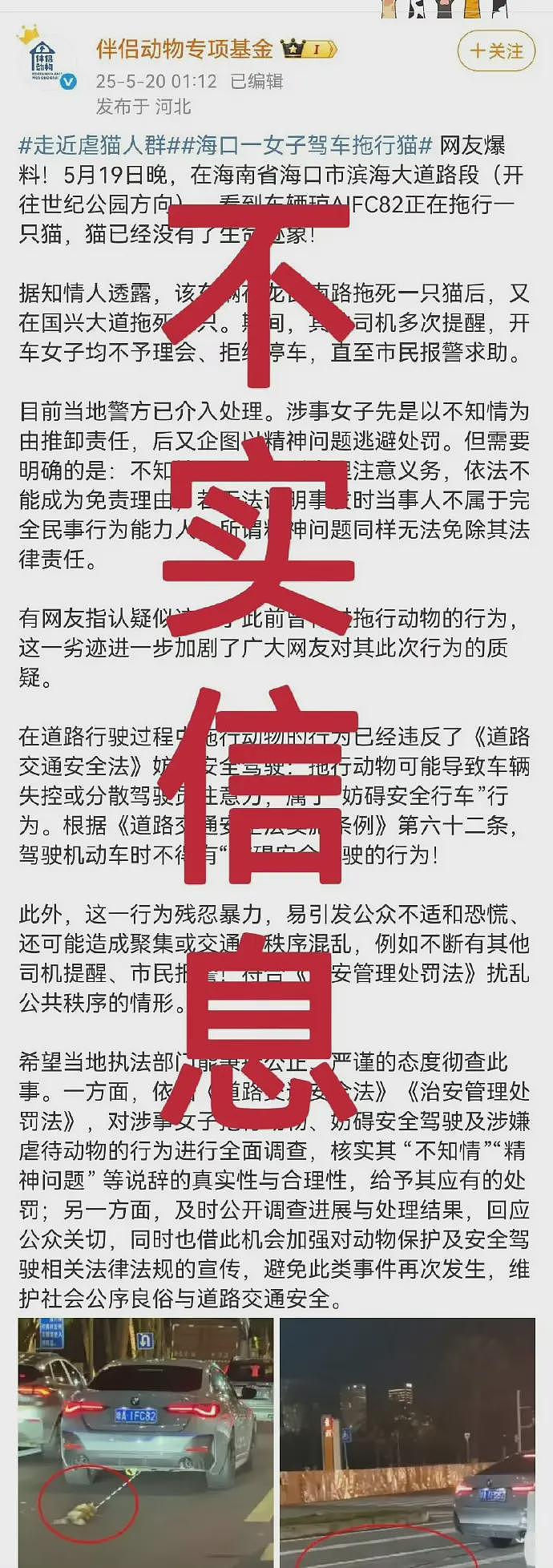 哈佛近400年校史第一人!中国女生毕业演讲引全网关注,家庭背景曝光!“不是普通人”(视频/组图) - 12