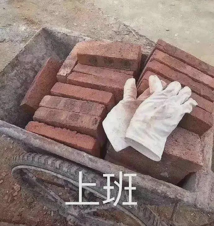 “我站着赚钱，没人叫我跪着感恩”28岁河南女生在澳洲工地勾缝：早7晚4每天8小时，一天收入1368元！（组图） - 14