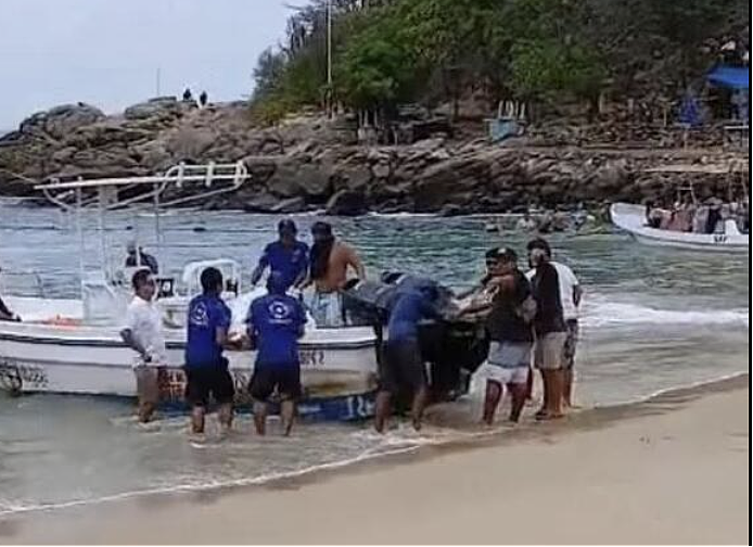 噩梦！ 男子尸体在度假天堂被冲上岸，伴失踪！ 美国发布最高级旅游警告（组图） - 4