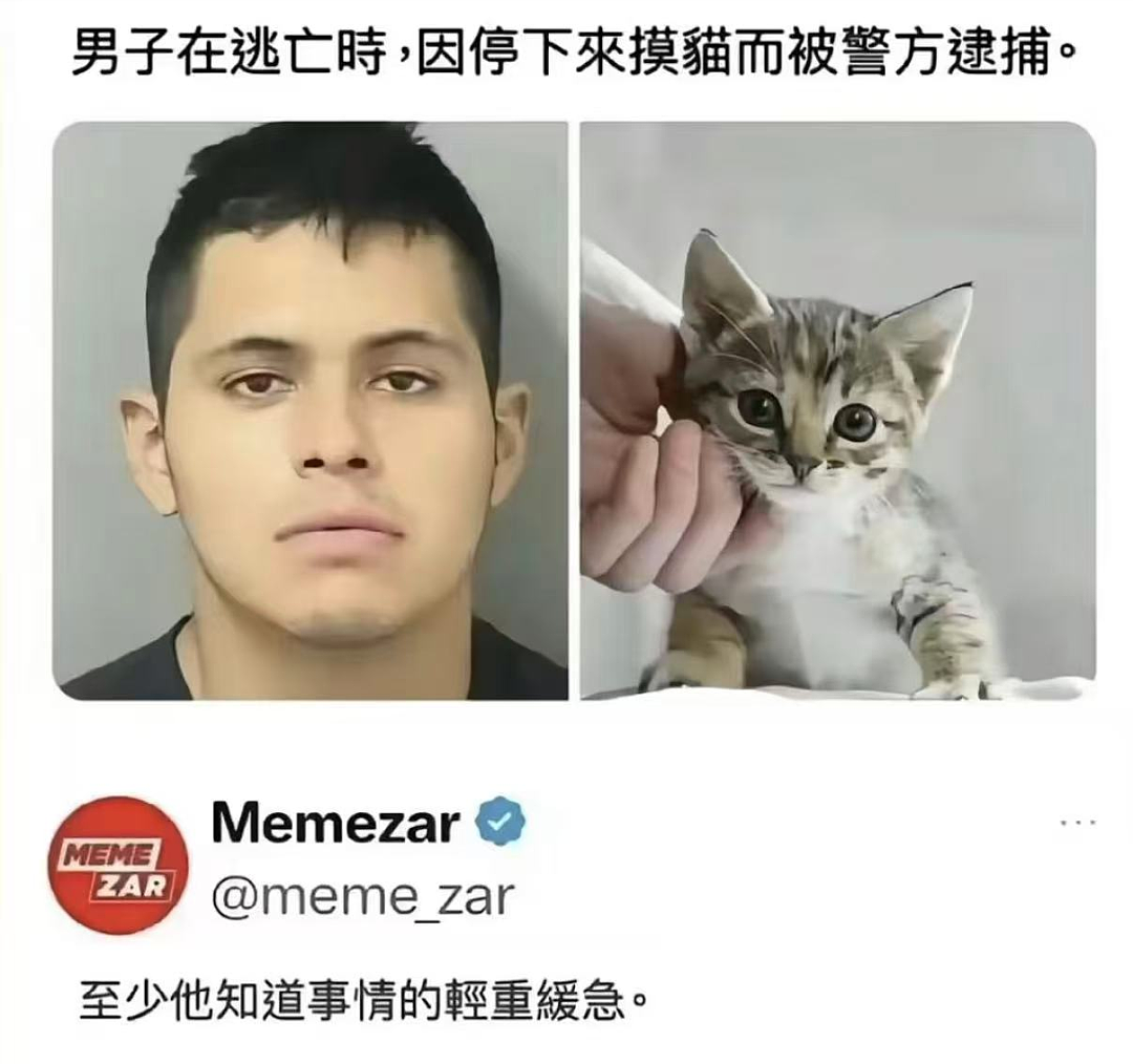 【爆笑】“千万！不要！随便让AI帮你P图啊！”哈哈哈哈真没时间陪你闹了（组图） - 23