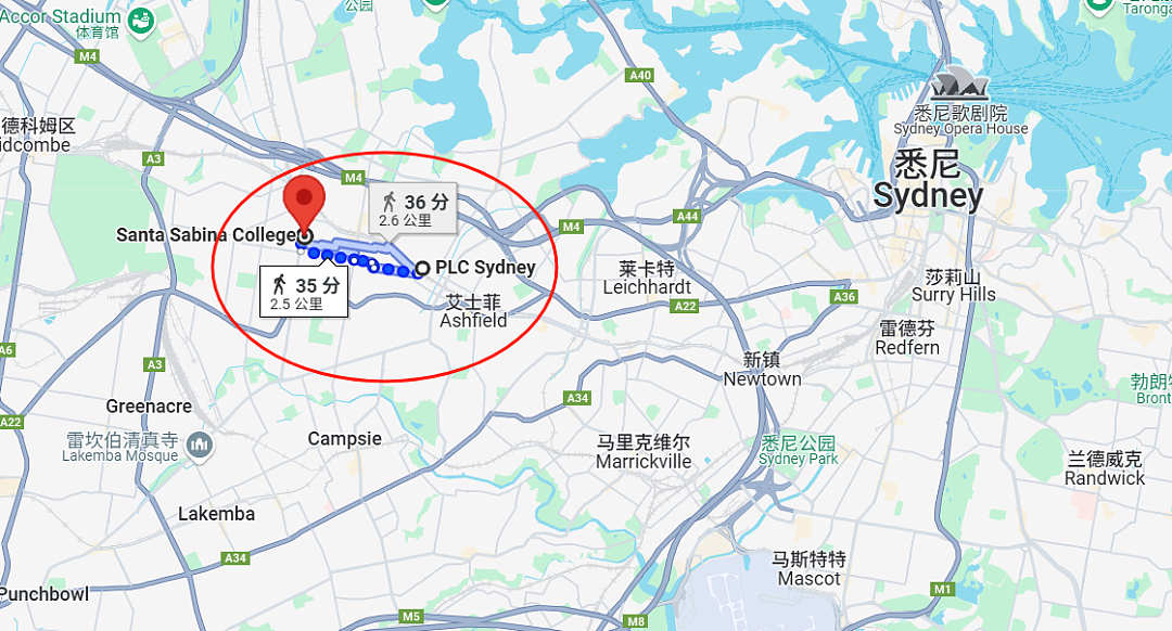 悲剧！悉尼13岁男生被霸凌致死！妈妈伤心欲绝，学校却无能为力！这时候，新州政府出手了...（组图） - 13