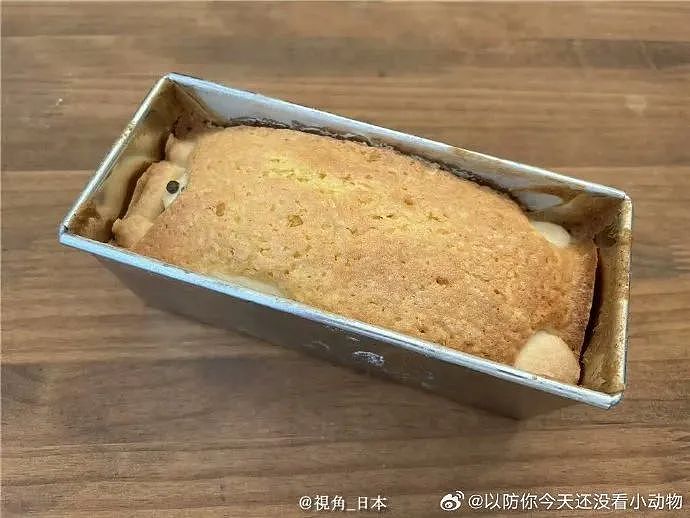 【爆笑】“千万！不要！随便让AI帮你P图啊！”哈哈哈哈真没时间陪你闹了（组图） - 86